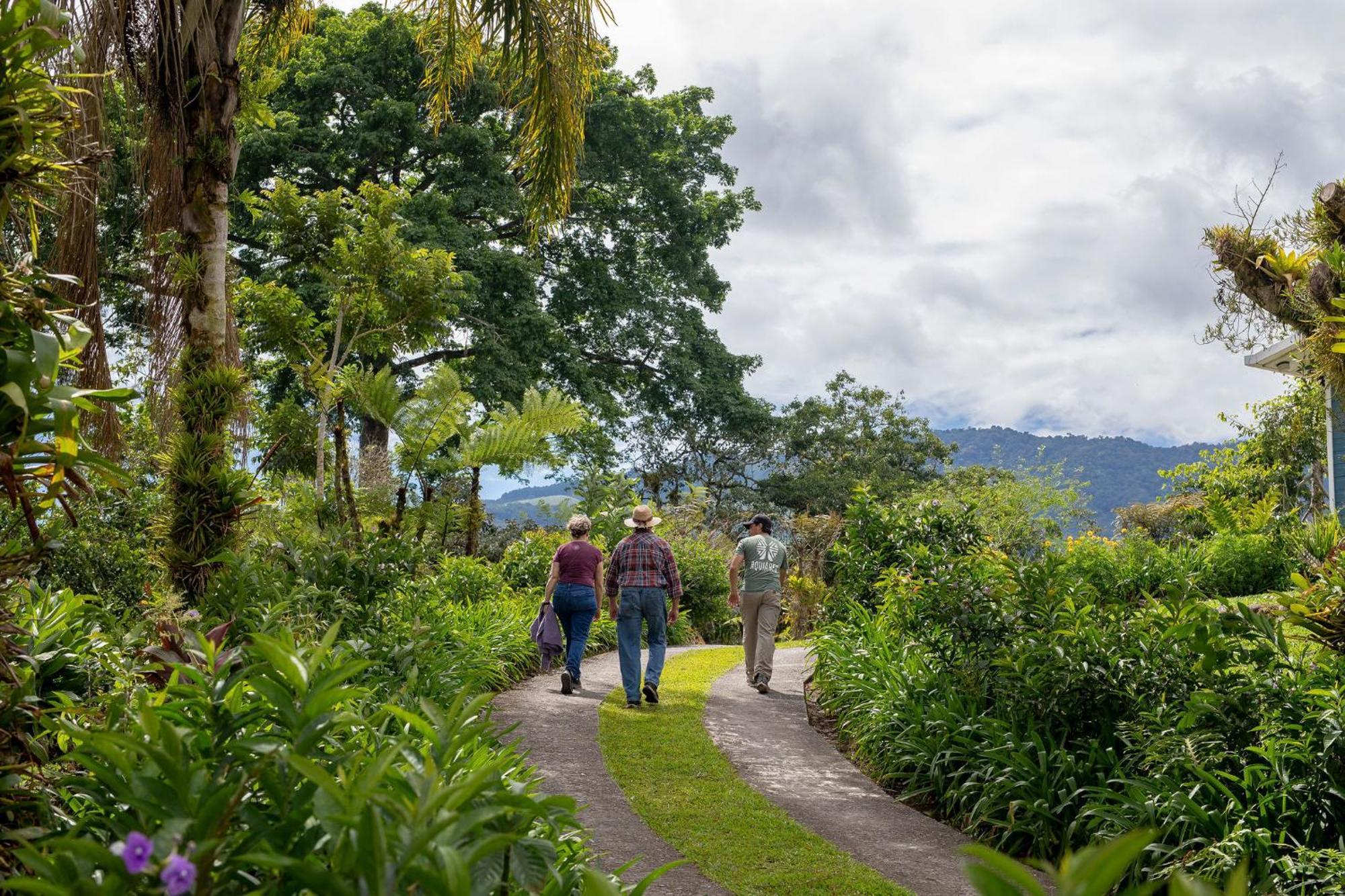 Aquiares Coffee Farm Casa Hacienda La Esperanza Bed & Breakfast Turrialba Dış mekan fotoğraf