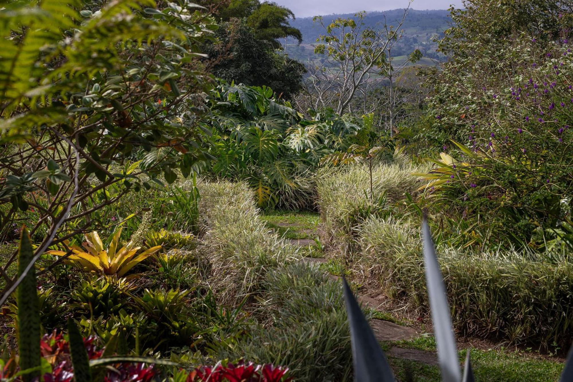 Aquiares Coffee Farm Casa Hacienda La Esperanza Bed & Breakfast Turrialba Dış mekan fotoğraf