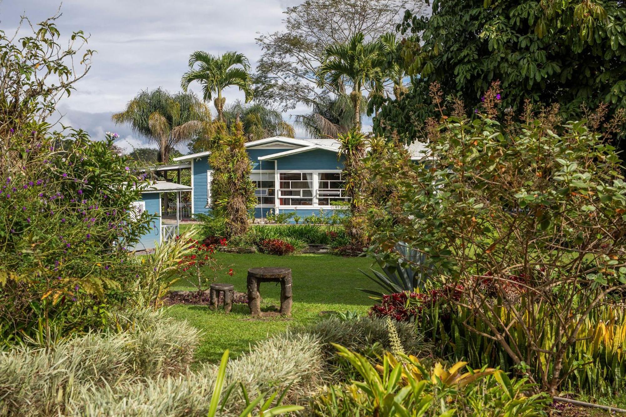 Aquiares Coffee Farm Casa Hacienda La Esperanza Bed & Breakfast Turrialba Dış mekan fotoğraf