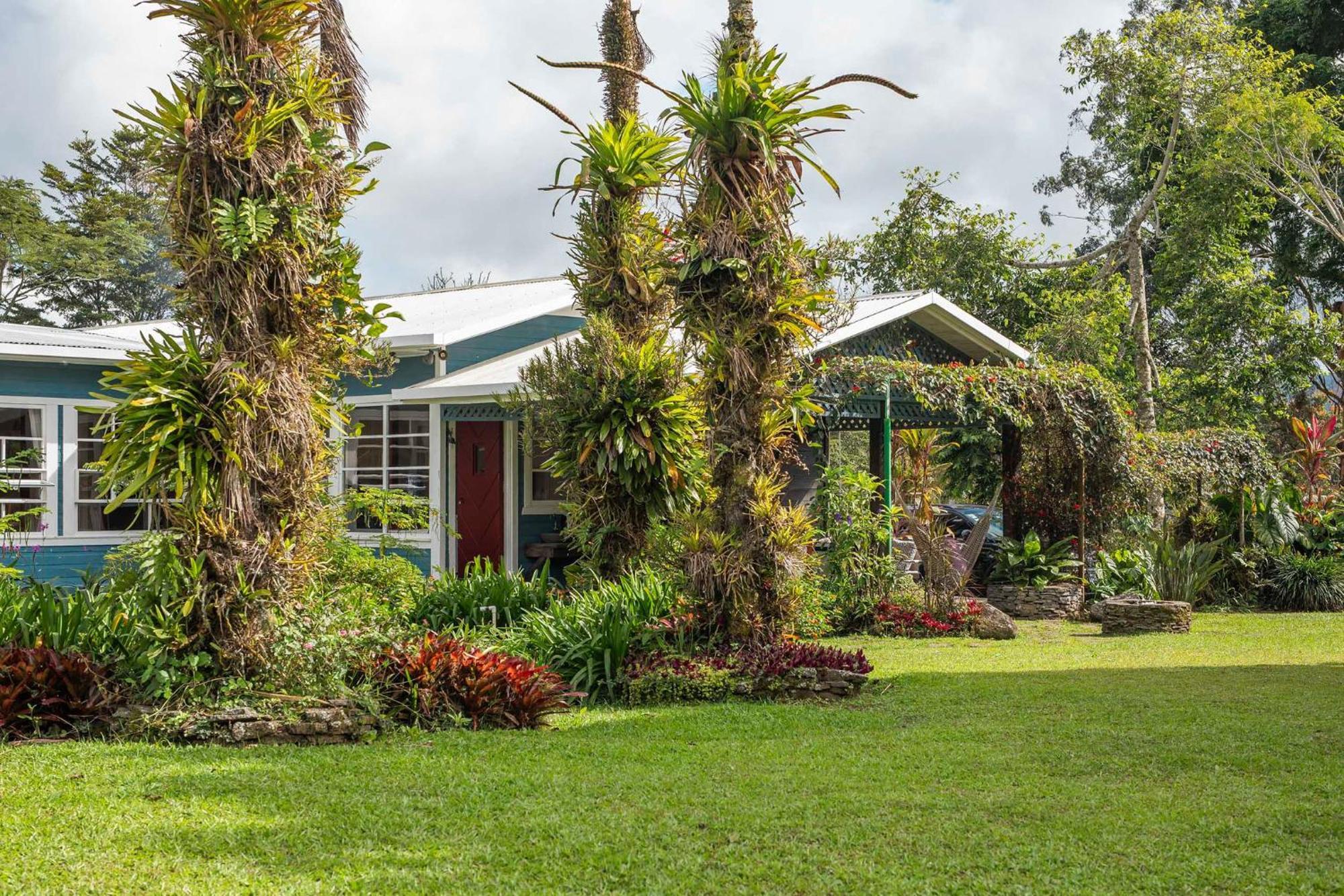 Aquiares Coffee Farm Casa Hacienda La Esperanza Bed & Breakfast Turrialba Dış mekan fotoğraf